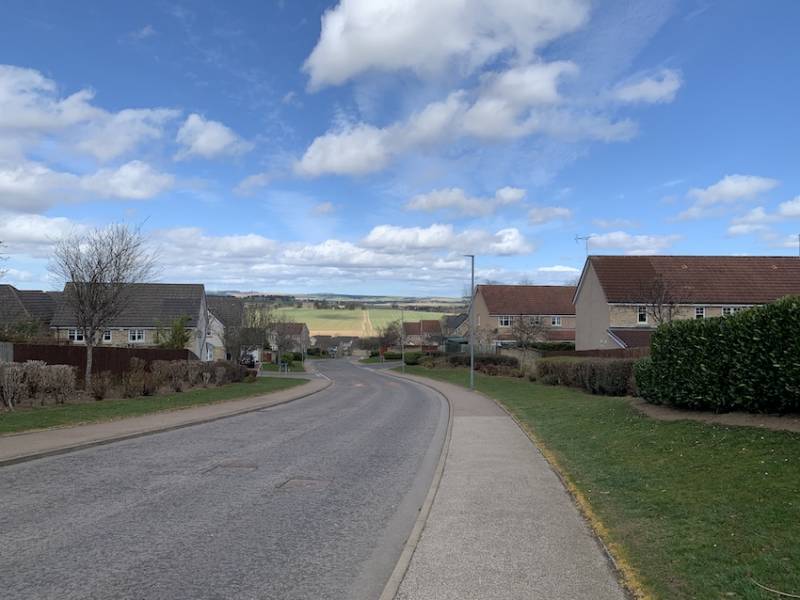 IOA: Reflections on Lockdown UK: Fiona Anderson